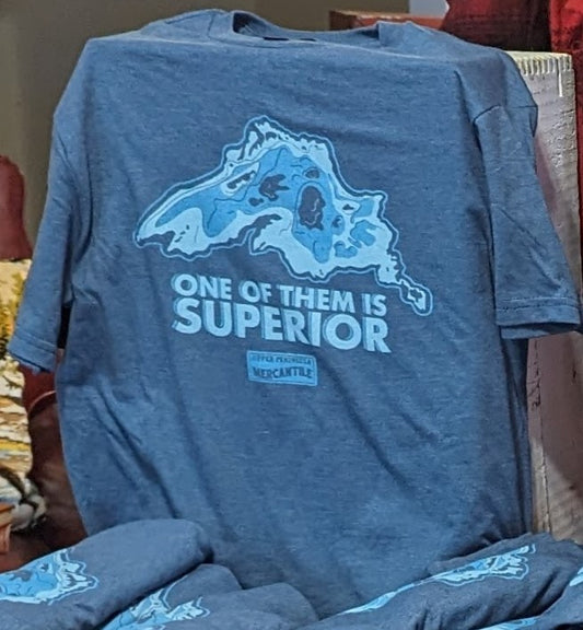 T-Shirt, One of Them Is Superior
