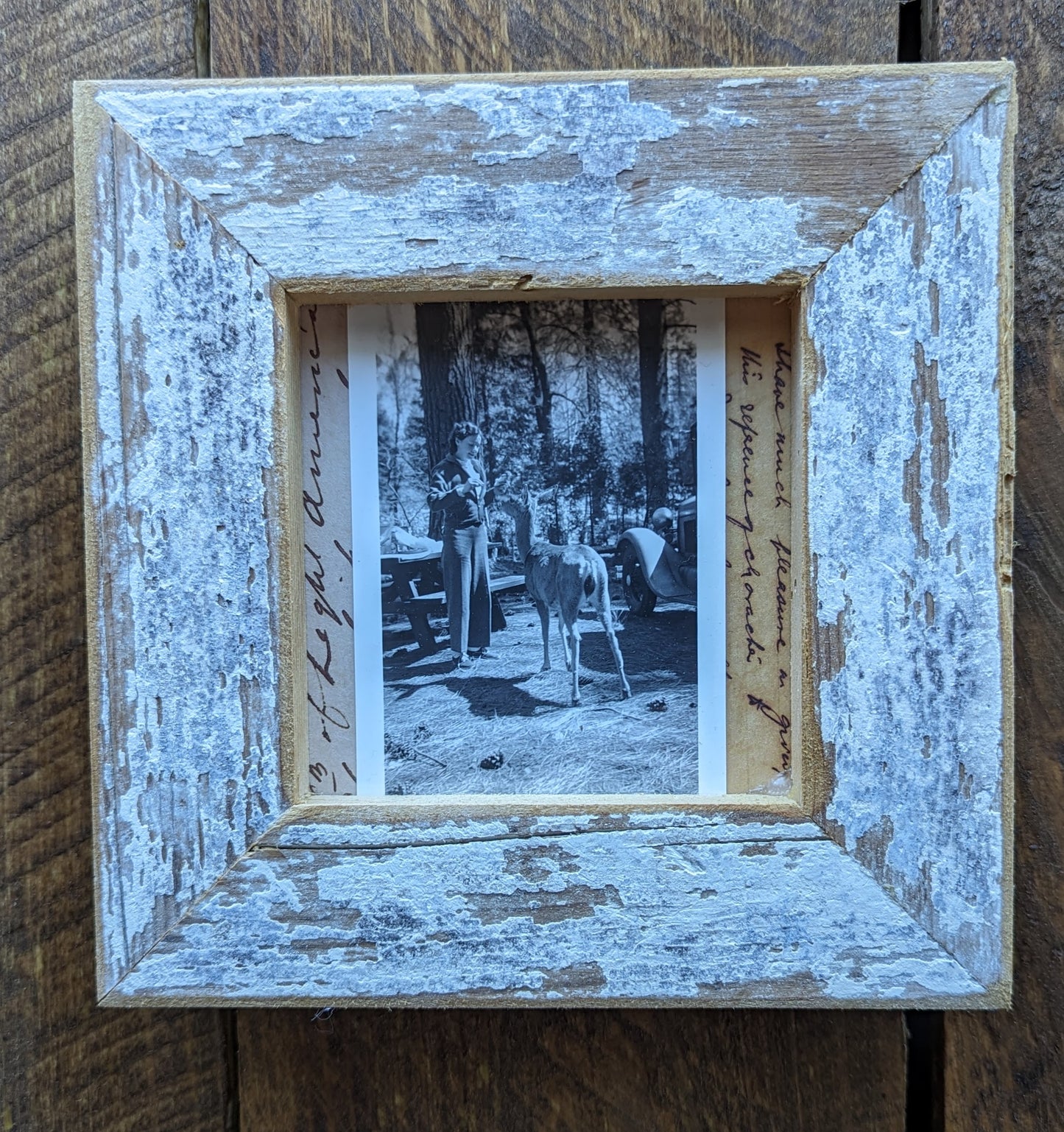 Photo - Feeding the Deer - Old Photograph in Reclaimed Barnwood Frame