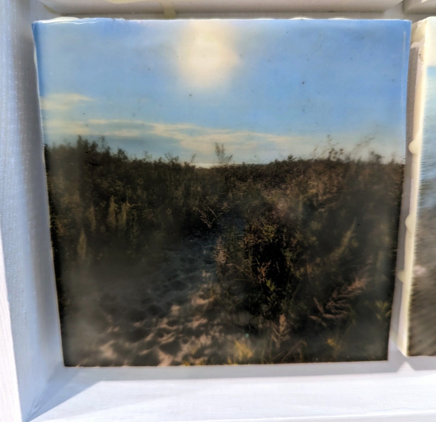 "Beach Dreaming" - Original Wax Encaustic Art Piece